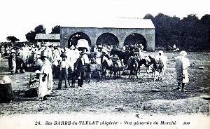 SAINTE-BARBE-DU TLELAT - MARCHE - 1910